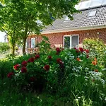 Haus Deichperle Pellworm