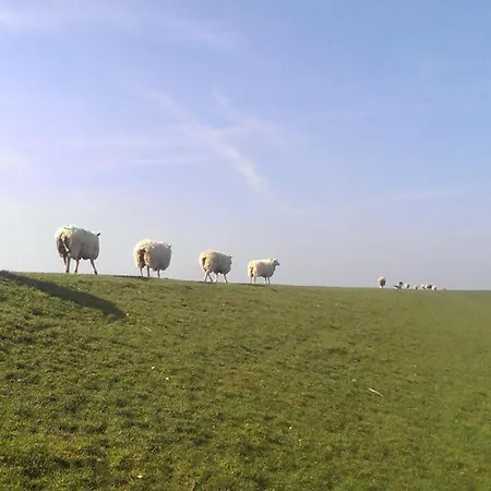 Haus Deichperle Pellworm