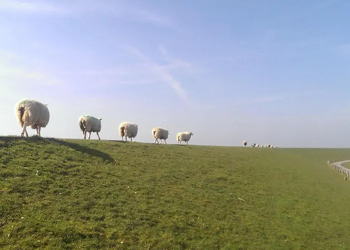 Haus Deichperle Pellworm